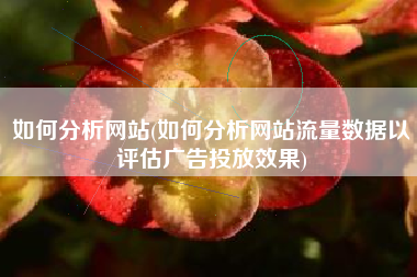 如何分析网站(如何分析网站流量数据以评估广告投放效果)
