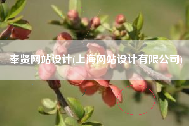 奉贤网站设计(上海网站设计有限公司)