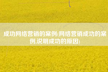 成功网络营销的案例(网络营销成功的案例,说明成功的原因)