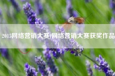 2015网络营销大赛(网络营销大赛获奖作品)