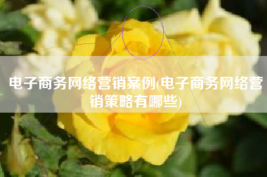 电子商务网络营销案例(电子商务网络营销策略有哪些)