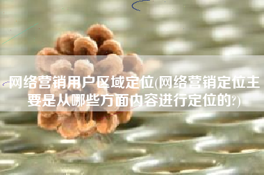 网络营销用户区域定位(网络营销定位主要是从哪些方面内容进行定位的?)