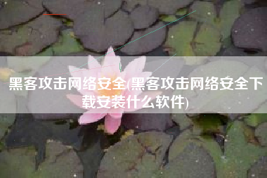 黑客攻击网络安全(黑客攻击网络安全下载安装什么软件)