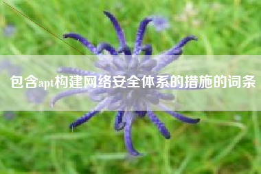 包含apt构建网络安全体系的措施的词条