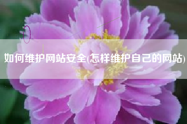 如何维护网站安全(怎样维护自己的网站)