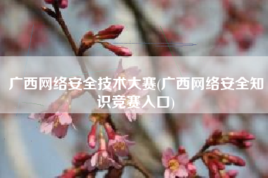 广西网络安全技术大赛(广西网络安全知识竞赛入口)