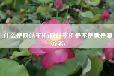什么是网站主机(网站主机是不是就是服务器)