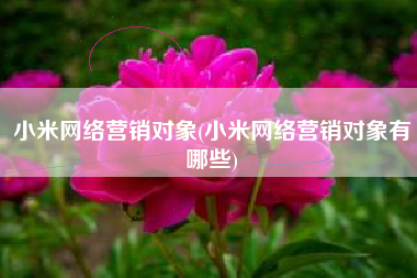 小米网络营销对象(小米网络营销对象有哪些)