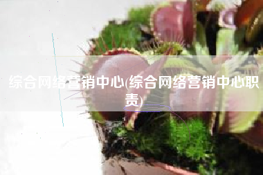 综合网络营销中心(综合网络营销中心职责)