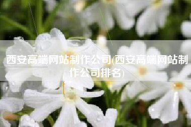 西安高端网站制作公司(西安高端网站制作公司排名)