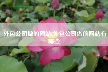 外包公司做的网站(外包公司做的网站有哪些)