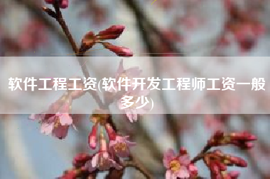 软件工程工资(软件开发工程师工资一般多少)