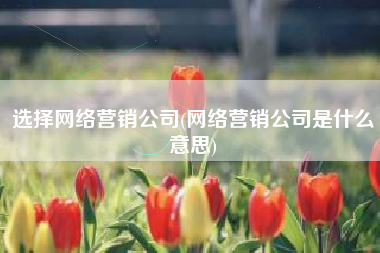 选择网络营销公司(网络营销公司是什么意思)