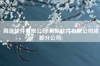 商派软件有限公司(商派软件有限公司成都分公司)