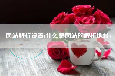 网站解析设置(什么是网站的解析地址)