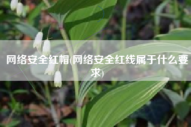 网络安全红帽(网络安全红线属于什么要求)