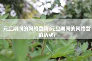 元旦期间的网络营销(元旦期间的网络营销活动)