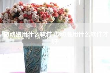做动漫用什么软件(做动漫用什么软件才好)