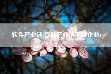 软件产业链(软件产业链下游企业)
