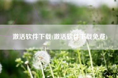 激活软件下载(激活软件下载免费)