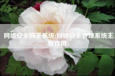 网络安全网关系统(网络安全管理系统主要作用)