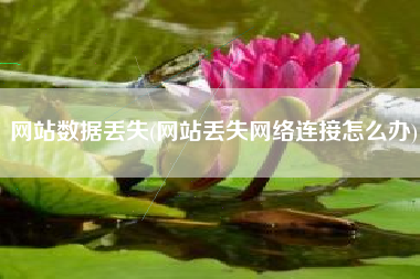 网站数据丢失(网站丢失网络连接怎么办)