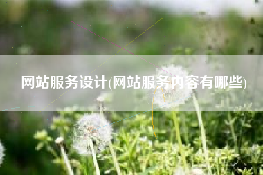 网站服务设计(网站服务内容有哪些)