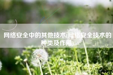 网络安全中的其他技术(网络安全技术的种类及作用)