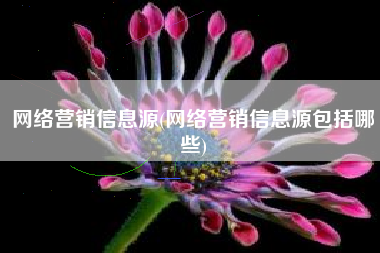网络营销信息源(网络营销信息源包括哪些)