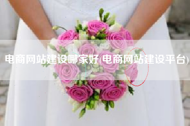 电商网站建设哪家好(电商网站建设平台)