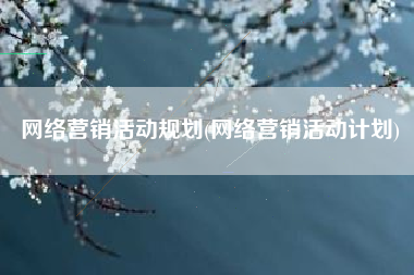 网络营销活动规划(网络营销活动计划)