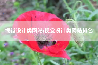 视觉设计类网站(视觉设计类网站排名)