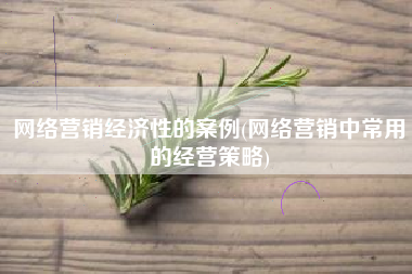 网络营销经济性的案例(网络营销中常用的经营策略)