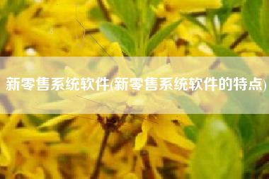 新零售系统软件(新零售系统软件的特点)