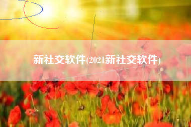 新社交软件(2021新社交软件)