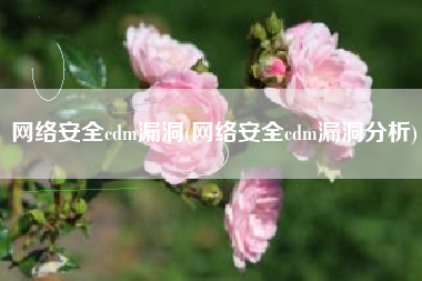 网络安全cdm漏洞(网络安全cdm漏洞分析)