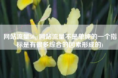 网站流量50g(网站流量不是单纯的一个指标是有很多综合的因素形成的)