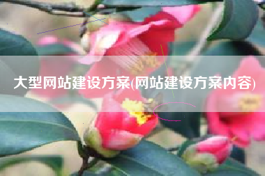 大型网站建设方案(网站建设方案内容)