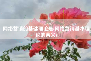 网络营销的基础理论是(网络营销基本理论的含义)