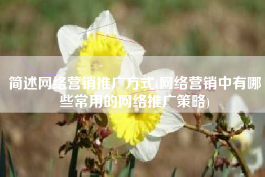 简述网络营销推广方式(网络营销中有哪些常用的网络推广策略)