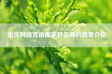 重庆网络营销哪家好品牌的简单介绍