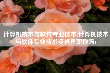计算机技术与软件专业技术(计算机技术与软件专业技术资格是职称吗)