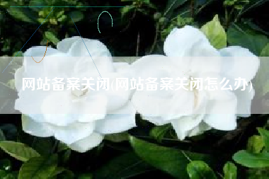 网站备案关闭(网站备案关闭怎么办)