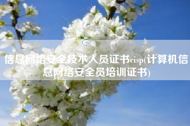 信息网络安全技术人员证书cisp(计算机信息网络安全员培训证书)