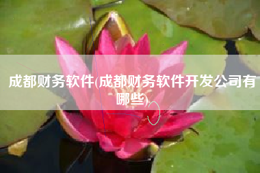 成都财务软件(成都财务软件开发公司有哪些)