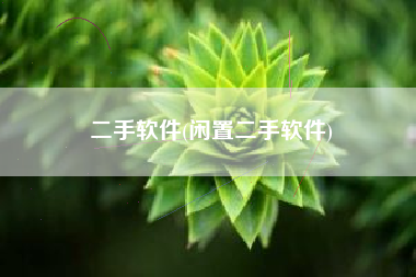 二手软件(闲置二手软件)