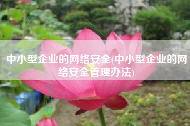 中小型企业的网络安全(中小型企业的网络安全管理办法)