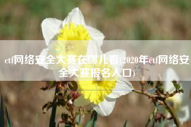 ctf网络安全大赛在哪儿看(2020年ctf网络安全大赛报名入口)