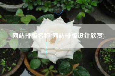 网站排版名称(网站排版设计欣赏)