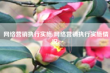 网络营销执行实施(网络营销执行实施情况)
